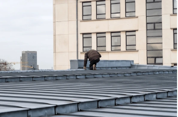 Shingle Roof Replacement